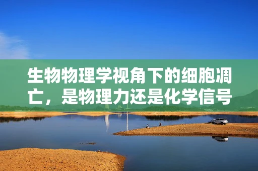 生物物理学视角下的细胞凋亡，是物理力还是化学信号主导？