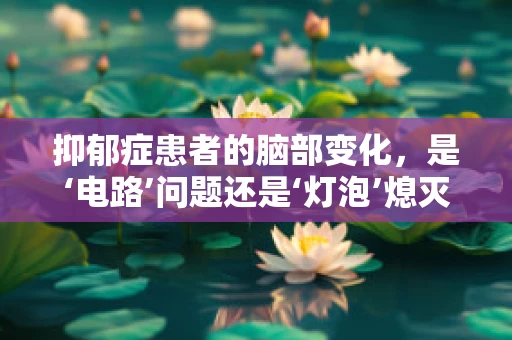 抑郁症患者的脑部变化，是‘电路’问题还是‘灯泡’熄灭？