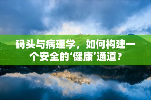 码头与病理学，如何构建一个安全的‘健康’通道？