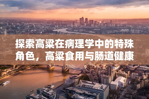 探索高粱在病理学中的特殊角色，高粱食用与肠道健康之间的微妙平衡