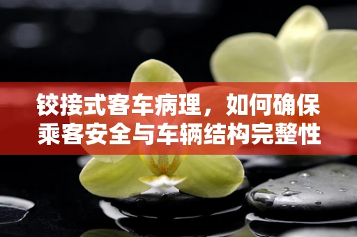 铰接式客车病理，如何确保乘客安全与车辆结构完整性？