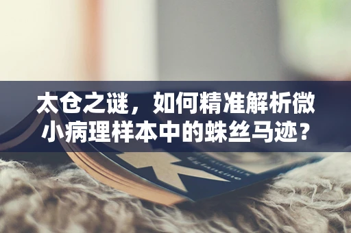 太仓之谜，如何精准解析微小病理样本中的蛛丝马迹？