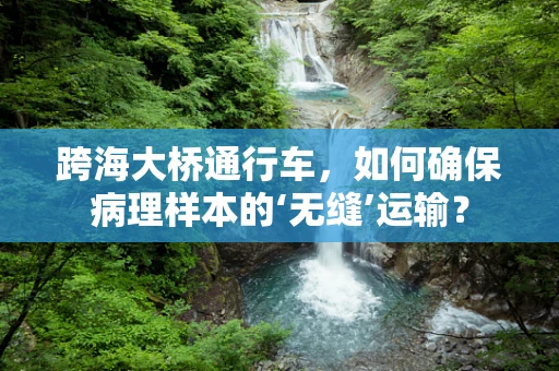 跨海大桥通行车，如何确保病理样本的‘无缝’运输？