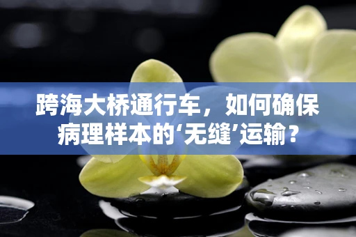 跨海大桥通行车，如何确保病理样本的‘无缝’运输？