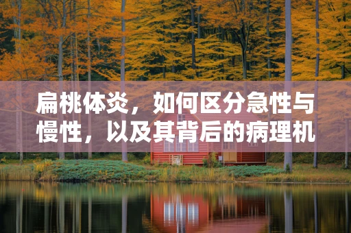 扁桃体炎，如何区分急性与慢性，以及其背后的病理机制？