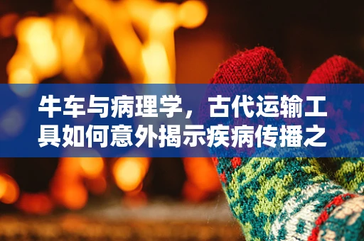 牛车与病理学，古代运输工具如何意外揭示疾病传播之谜？