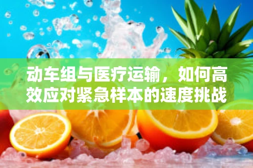 动车组与医疗运输，如何高效应对紧急样本的速度挑战？