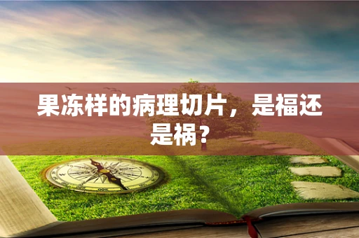 果冻样的病理切片，是福还是祸？