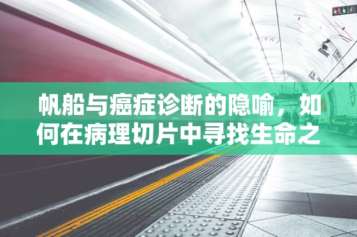 帆船与癌症诊断的隐喻，如何在病理切片中寻找生命之舟的航迹？
