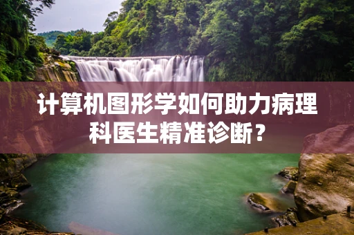 计算机图形学如何助力病理科医生精准诊断？