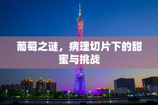 葡萄之谜，病理切片下的甜蜜与挑战