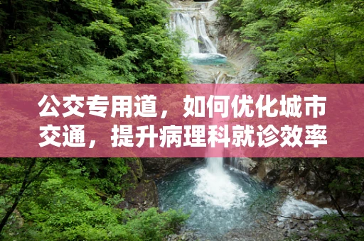 公交专用道，如何优化城市交通，提升病理科就诊效率？