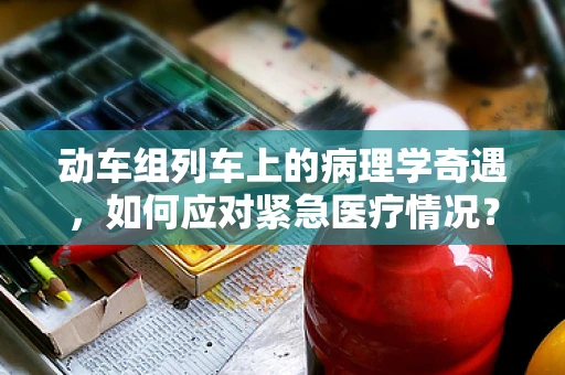 动车组列车上的病理学奇遇，如何应对紧急医疗情况？