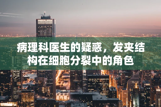 病理科医生的疑惑，发夹结构在细胞分裂中的角色