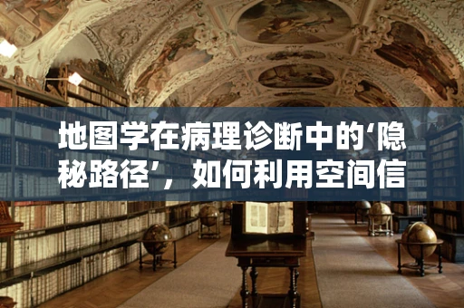 地图学在病理诊断中的‘隐秘路径’，如何利用空间信息优化肿瘤分析？
