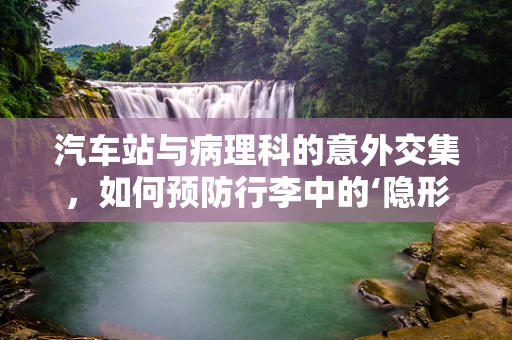 汽车站与病理科的意外交集，如何预防行李中的‘隐形威胁’？
