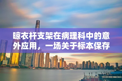 晾衣杆支架在病理科中的意外应用，一场关于标本保存的奇思妙想？