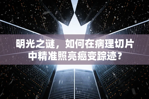 明光之谜，如何在病理切片中精准照亮癌变踪迹？