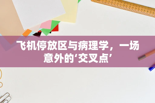 飞机停放区与病理学，一场意外的‘交叉点’