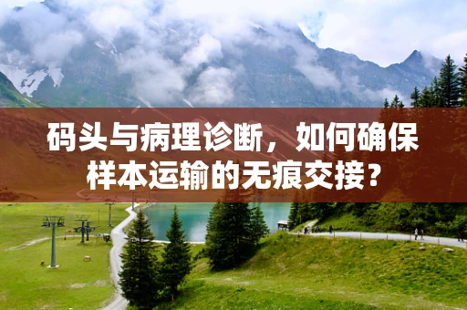码头与病理诊断，如何确保样本运输的无痕交接？
