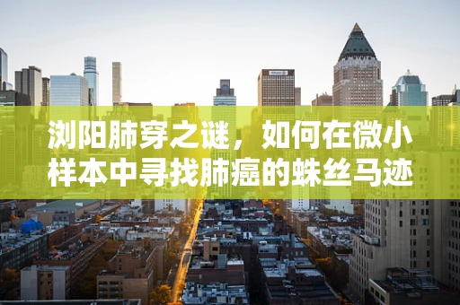 浏阳肺穿之谜，如何在微小样本中寻找肺癌的蛛丝马迹？