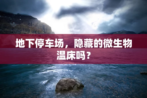 地下停车场，隐藏的微生物温床吗？