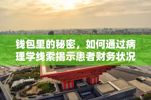 钱包里的秘密，如何通过病理学线索揭示患者财务状况的‘隐秘故事’？