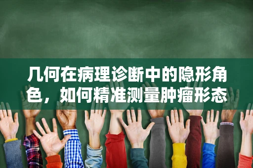 几何在病理诊断中的隐形角色，如何精准测量肿瘤形态？