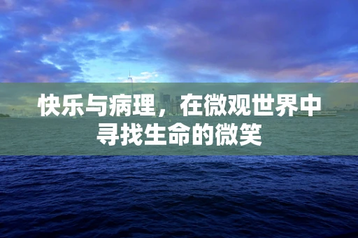 快乐与病理，在微观世界中寻找生命的微笑