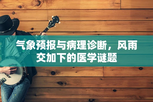 气象预报与病理诊断，风雨交加下的医学谜题