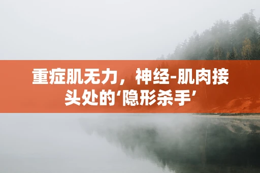 重症肌无力，神经-肌肉接头处的‘隐形杀手’