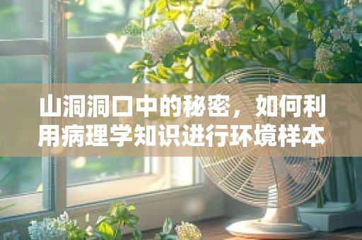 山洞洞口中的秘密，如何利用病理学知识进行环境样本分析？