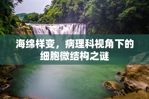 海绵样变，病理科视角下的细胞微结构之谜
