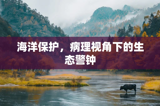 海洋保护，病理视角下的生态警钟
