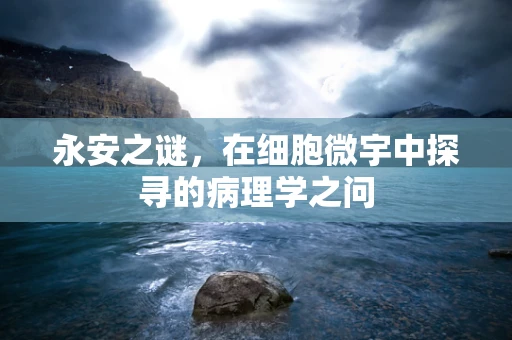 永安之谜，在细胞微宇中探寻的病理学之问