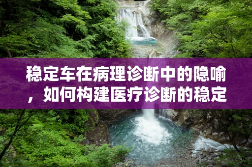 稳定车在病理诊断中的隐喻，如何构建医疗诊断的稳定基石？