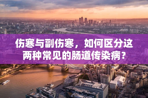 伤寒与副伤寒，如何区分这两种常见的肠道传染病？