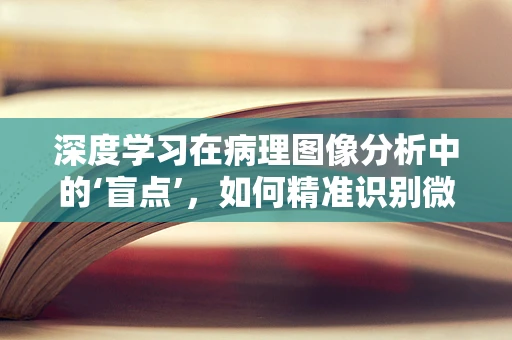 深度学习在病理图像分析中的‘盲点’，如何精准识别微小病变？