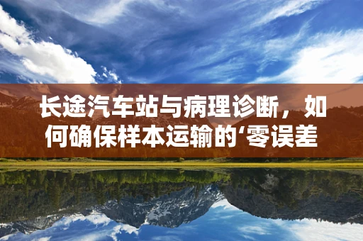 长途汽车站与病理诊断，如何确保样本运输的‘零误差’？