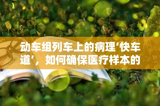 动车组列车上的病理‘快车道’，如何确保医疗样本的快速而安全运输？
