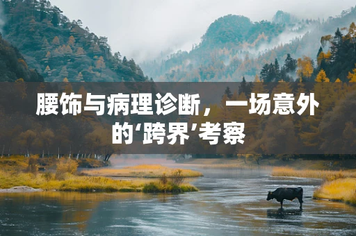 腰饰与病理诊断，一场意外的‘跨界’考察
