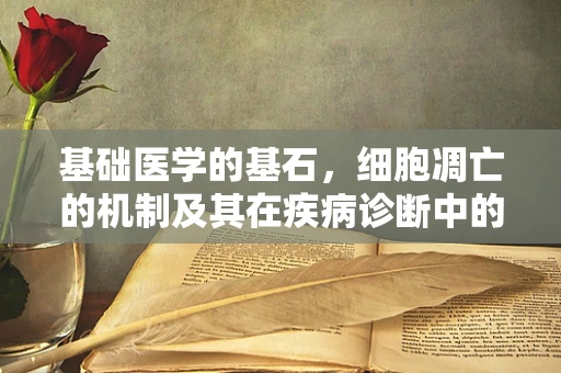 基础医学的基石，细胞凋亡的机制及其在疾病诊断中的意义
