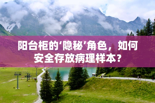 阳台柜的‘隐秘’角色，如何安全存放病理样本？