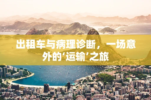 出租车与病理诊断，一场意外的‘运输’之旅