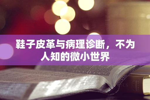 鞋子皮革与病理诊断，不为人知的微小世界
