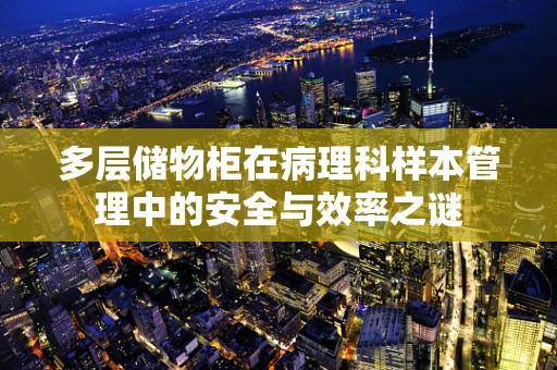 多层储物柜在病理科样本管理中的安全与效率之谜