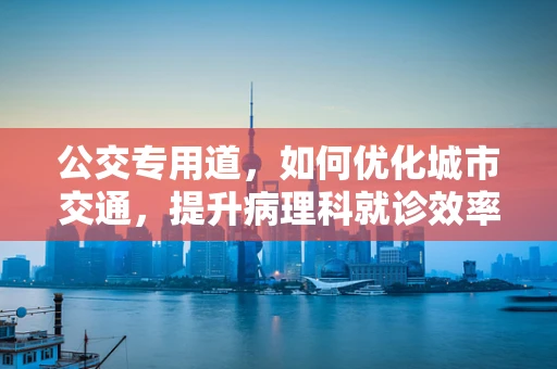 公交专用道，如何优化城市交通，提升病理科就诊效率？