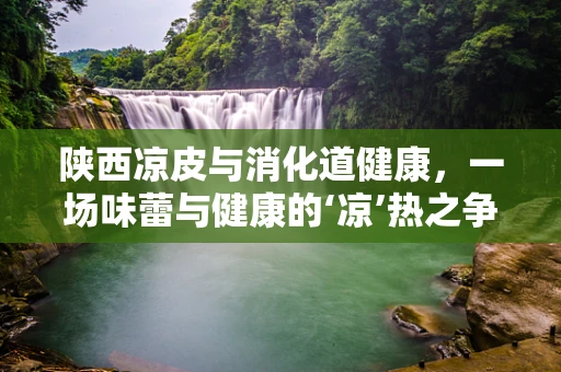 陕西凉皮与消化道健康，一场味蕾与健康的‘凉’热之争
