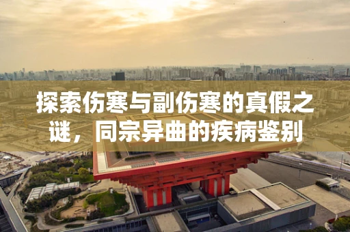探索伤寒与副伤寒的真假之谜，同宗异曲的疾病鉴别