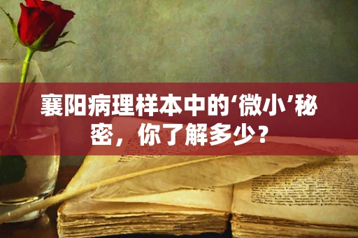 襄阳病理样本中的‘微小’秘密，你了解多少？